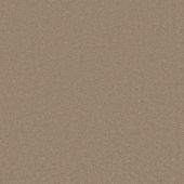 Spirit Canvas Carpet