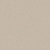 Spirit Parchment Carpet