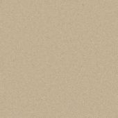 Marshall Elite Antique Lace Carpet