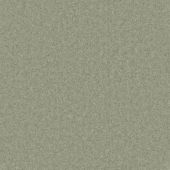 Marshall Elite Sweetpea Carpet