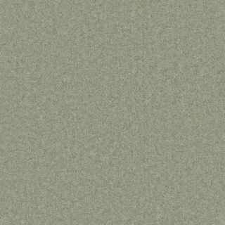 Marshall Elite Sweetpea