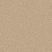 Marshall Desert Sand Carpet