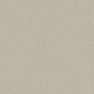Senna Canvas