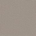 Courage Taupe Plain Carpet