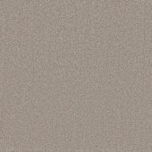 Courage Taupe Plain Carpet