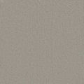 Courage Grey Plain Carpet