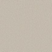 Courage Cream Plain Carpet