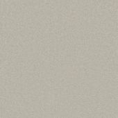 Courage Mist Plain Carpet