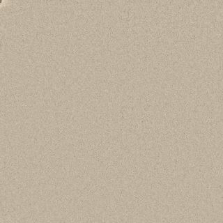 Courage Desert Plain