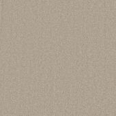 Laurel Canyon Canvas Carpet