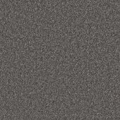 Laurel Canyon Steel Carpet