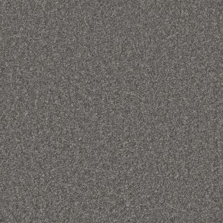 Laurel Canyon Titanium