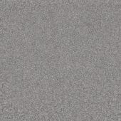 Skylark Steel Carpet