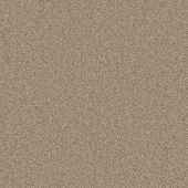 Skylark Beige Carpet