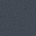 Nightingale Navy Carpet