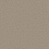 Oakland Cement Carpet