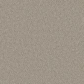 Oakland Dusty Carpet