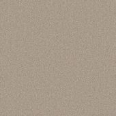 New Orleans Beige Carpet