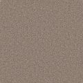 New Orleans Hazel Carpet