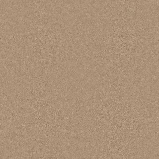 Santa Rosa Teak