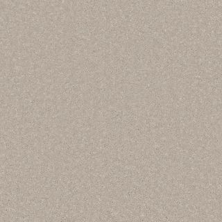 Santa Rosa Canvas