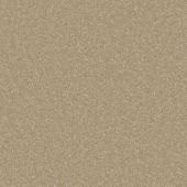 Santa Rosa Gold Carpet