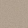 Beaux Beige Carpet