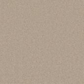 Beaux Beige Carpet