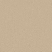 Affection Beige Carpet