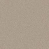 Merit Concrete Carpet