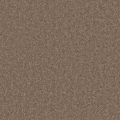 Bel Air Oak Carpet