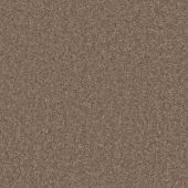 Bel Air Oak Carpet