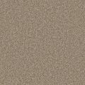 Santa Monica Parchment Carpet