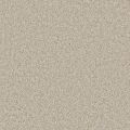 Santa Monica Latte Carpet