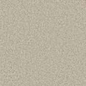 Santa Monica Latte Carpet