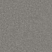 Santa Monica Steel Carpet