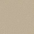 Santa Monica Beige Carpet