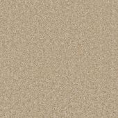 Santa Monica Sand Carpet