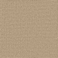 Agadir Spice Hobnail Carpet
