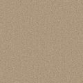 Ellesworth Wheat Carpet