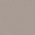 Columbia Ash Carpet