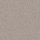 Columbia Ash Carpet