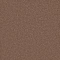 Columbia Redwood Carpet
