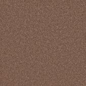 Columbia Redwood Carpet
