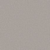 Columbia Platinum Carpet