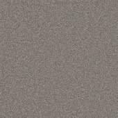 Columbia Silver Carpet