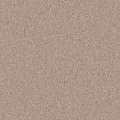 Columbia Latte Carpet