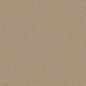 Cedar Creek Caramel Carpet