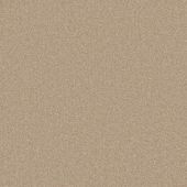 Cedar Creek Parchment Carpet