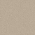 Cedar Creek Beige Carpet